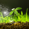 nanotechnology for agriculture