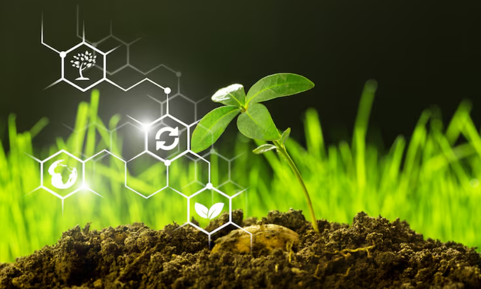 nanotechnology for agriculture